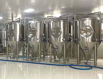 500L發(fā)酵罐